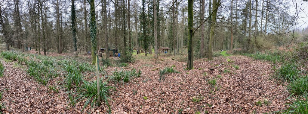 A lush UK woodland, the sustainable source of The Rustic Collection’s rustic wedding décor and engraved gifts.